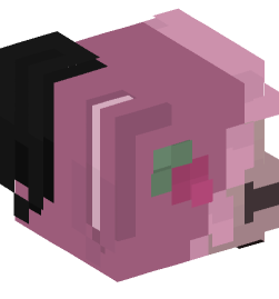 Minecraft head — People