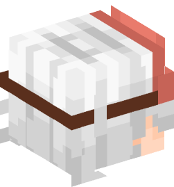 Minecraft head — People