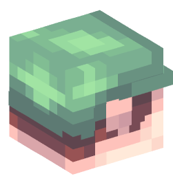 Minecraft head — People