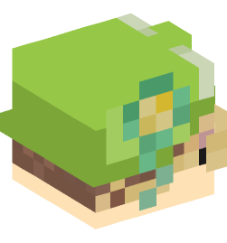 Minecraft head — People