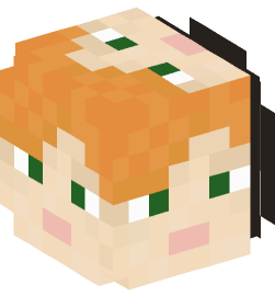 Minecraft head — People