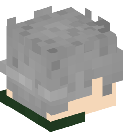 Minecraft head — People