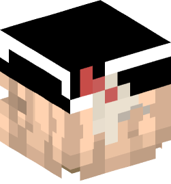 Minecraft head — People