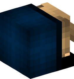 Minecraft head — People