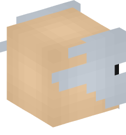 Minecraft head — Monsters