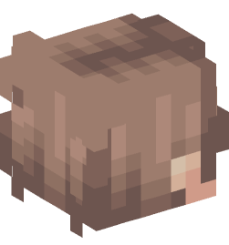 Minecraft head — People