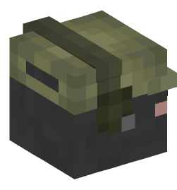 Minecraft head — People