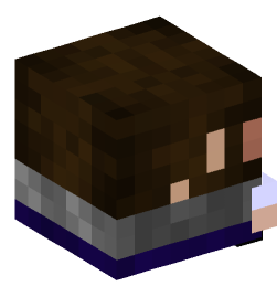 Minecraft head — Decor