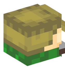 Minecraft head — Decor