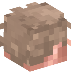 Minecraft head — People