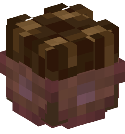 Minecraft head — Decor