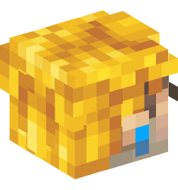 Minecraft head — People