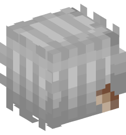 Minecraft head — Creatures