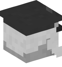 Minecraft head — Decor