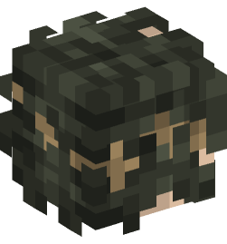 Minecraft head — People