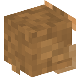 Minecraft head — Decor