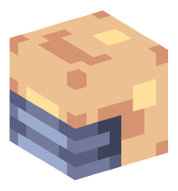 Minecraft head — Decor