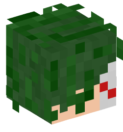 Minecraft head — People