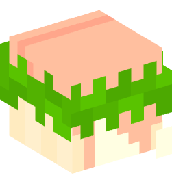 Minecraft head — People