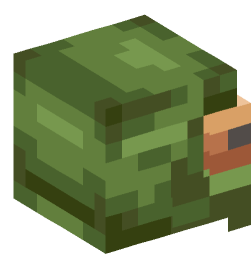 Minecraft head — Monsters