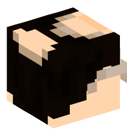 Minecraft head — People