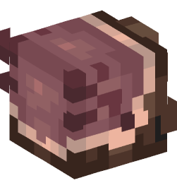 Minecraft head — Creatures