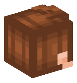 Minecraft head — People