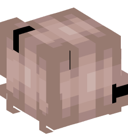 Minecraft head — People