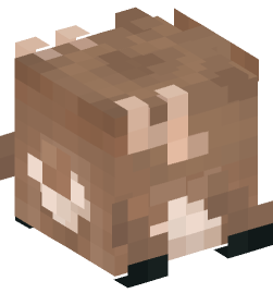 Minecraft head — Decor