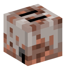 Minecraft head — Decor