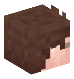 Minecraft head — People