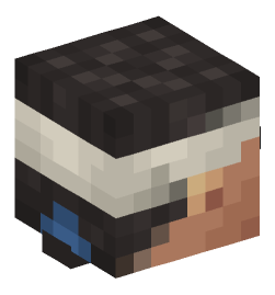 Minecraft head — People