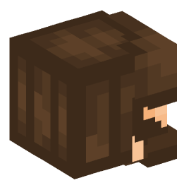 Minecraft head — People