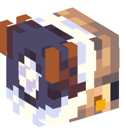 Minecraft head — People