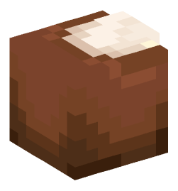 Minecraft head — Decor