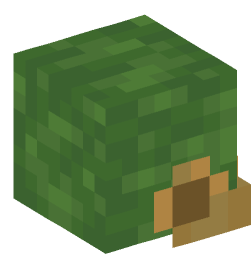 Minecraft head — Creatures