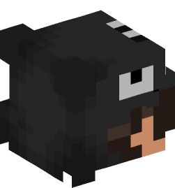 Minecraft head — People