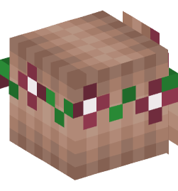 Minecraft head — People