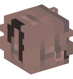 Minecraft head — People