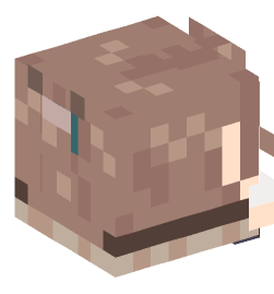 Minecraft head — Decor