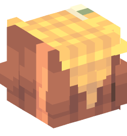 Minecraft head — People