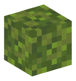 Minecraft head — Blocks