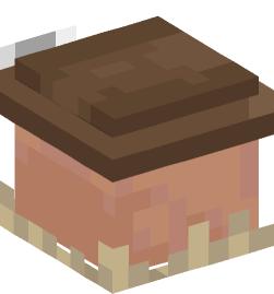 Minecraft head — People