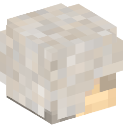 Minecraft head — People