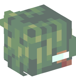 Minecraft head — People