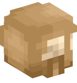 Minecraft head — Miscellaneous