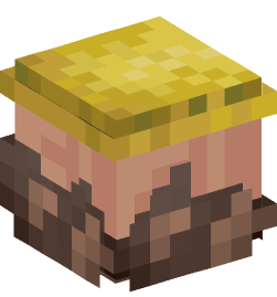 Minecraft head — Decor