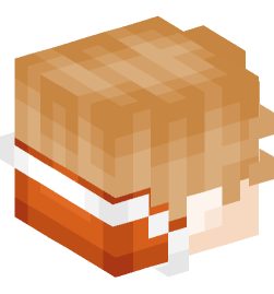 Minecraft head — People