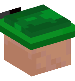 Minecraft head — Creatures