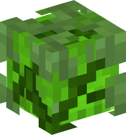 Minecraft head — Plants